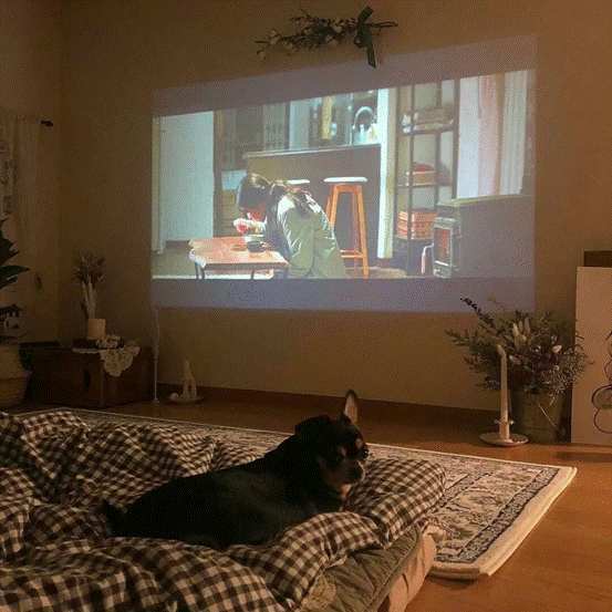 卧室投影仪哪款性价比高?性能超强的当贝投影D1推荐